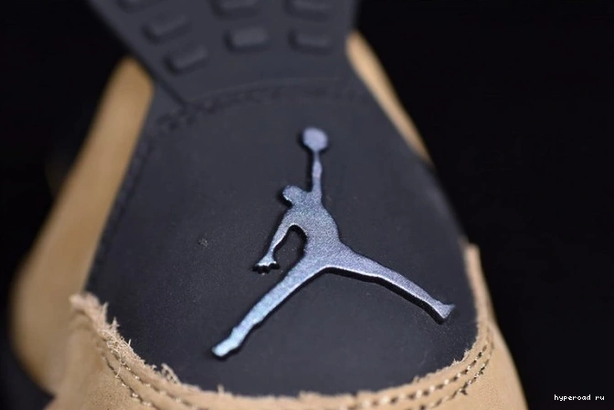 Mushroom Air 4 Jordan AQ9129-200 0827